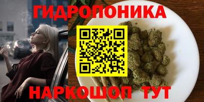 гидропоника Тула