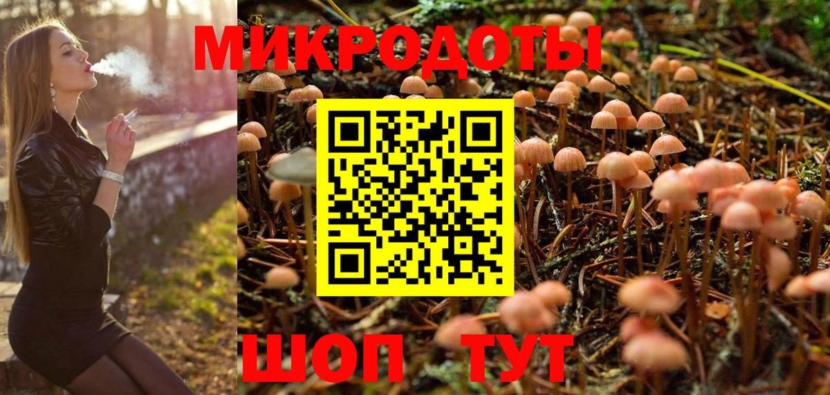 Новозыбков  Псилоцибиновые грибы Magic Shrooms  Галлюциногенные грибы GOLDEN TEACHER  Вход с VPN 