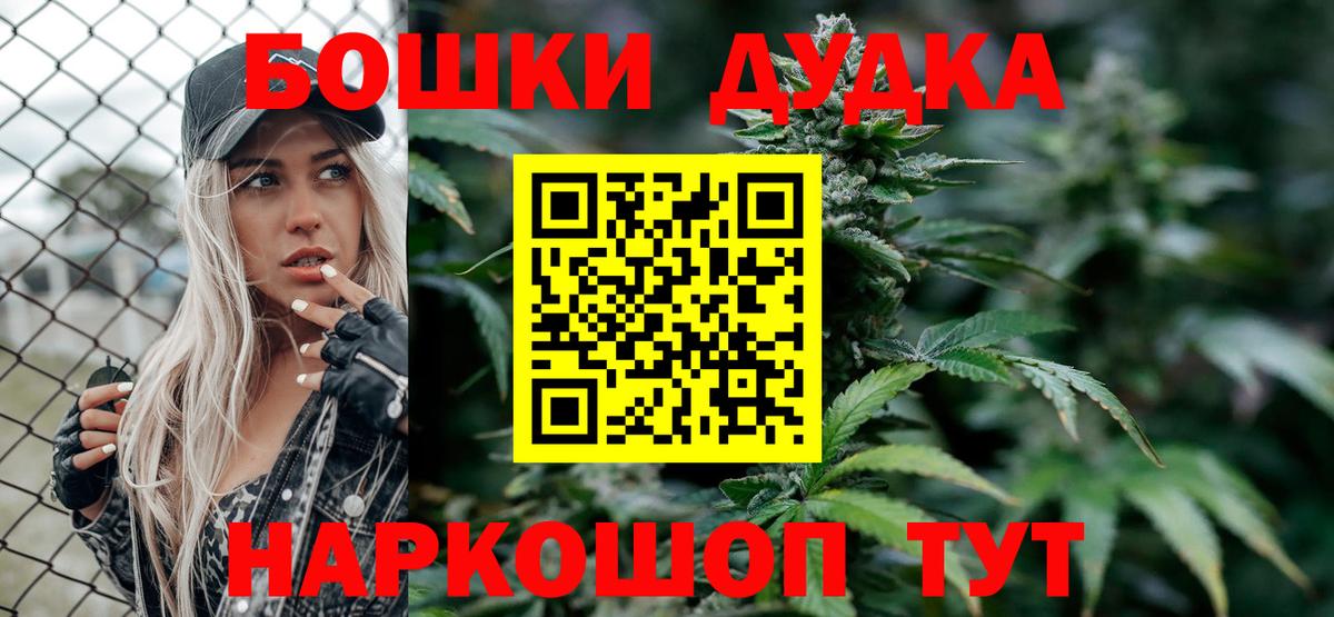 Шишки марихуана план Новозыбков